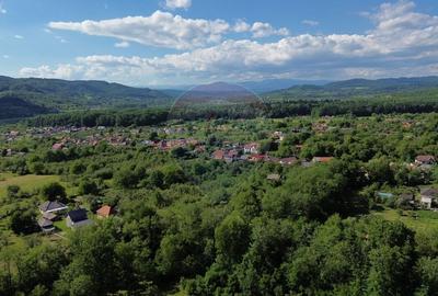 Casă individuală cu 4 camere cu Teren 3765 Mp în Mihăești - 7