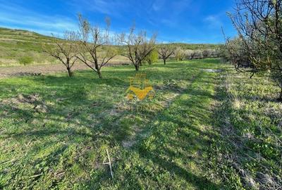 Teren agricol intravilan de 5500 mp, în Sopor - 4