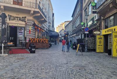 Spațiu comercial, de 195.85000610352 mp, în Centrul Istoric - 3