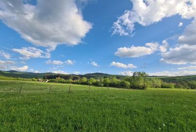 Teren de 800 mp, în Cărpiniș - 14
