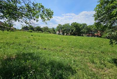 Teren Construcții intravilan de 1491 mp, în Plopu (Dărmănești) - 6