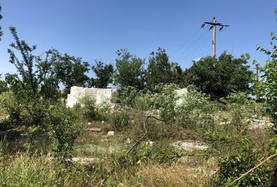 Teren investiție, de 9,795 mp, în Rădoiești - 4