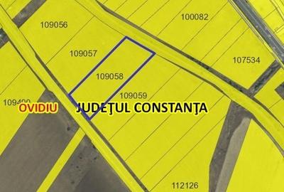 Spațiu comercial, în Central