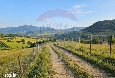 Teren de 4301 mp, în Bârsana - 7