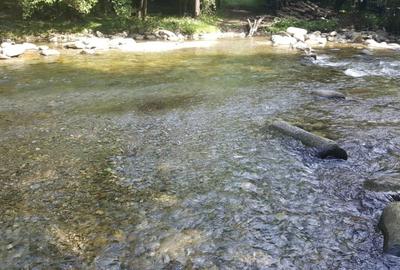Teren extravilan de 2834 mp, în Râu de Mori - 9