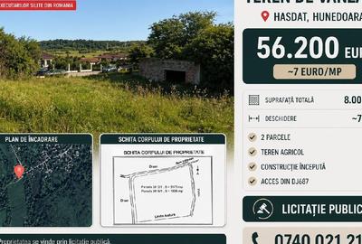 Teren agricol extravilan de 8008 mp, în Hășdat