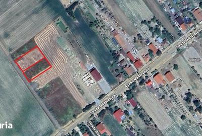 Teren de 660 mp, în Viile Satu Mare - 1