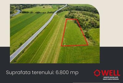 Teren de 6800 mp, în Bodoc - 4