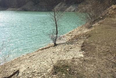 Teren de 391 mp, în Bănești - 4
