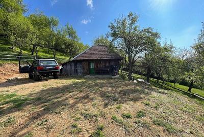 Casă cu Teren 15000 Mp în Bătrâna - 8