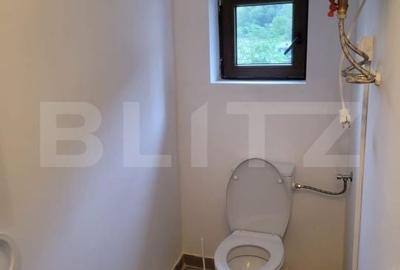Casă cu 5 camere cu Teren 48000 Mp în Vărădia de Mureș - 5