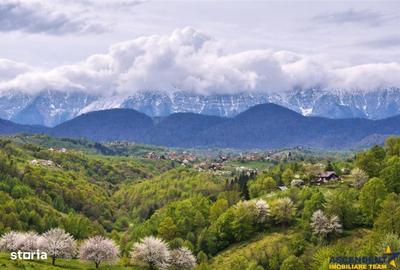 Spațiu comercial, în Fundata - 8