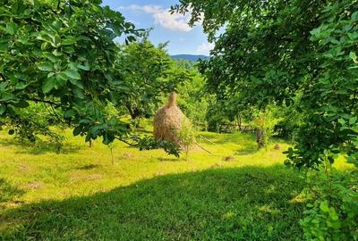 Teren de 1836 mp, în Șotrile