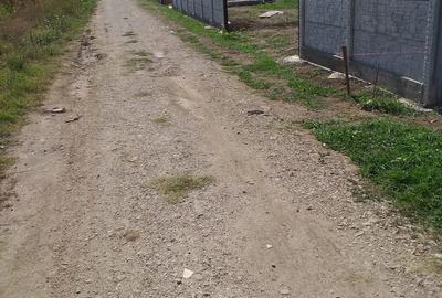 Teren de 410 mp, în Petrăchioaia