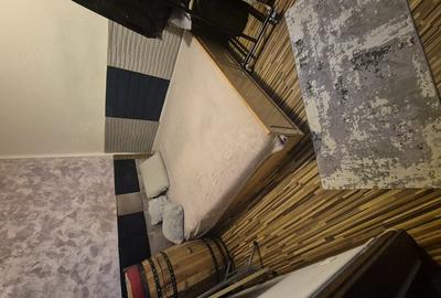 Apartament cu 2 camere semidecomandat în Valea Rosie - 7