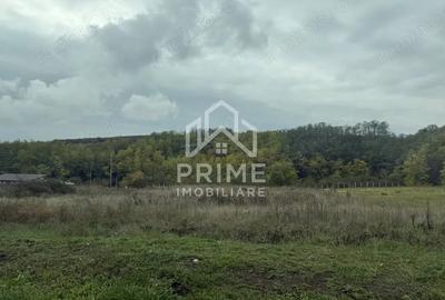 Teren de 2100 mp, în Teleac - 1