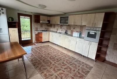 Casă cu 5 camere cu Teren 7200 Mp în Mănăstirea Cașin - 7