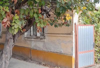 Casă cu 4 camere cu Teren 10000 Mp în Igriș
