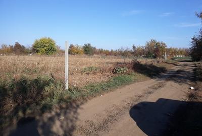 Teren de 150000 mp, în Nord - 4