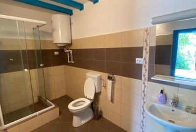 Casă individuală cu 6 camere cu Canalizare în Caraorman - 9