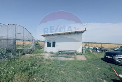 Teren agricol extravilan de 16750 mp, în Cârcea - 11