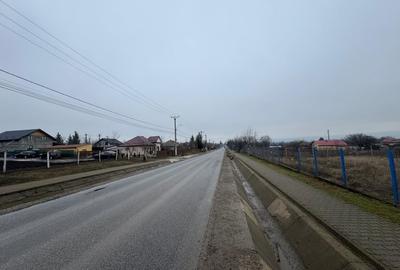 Teren Construcții intravilan de 1800 mp, în Țigănași - 3