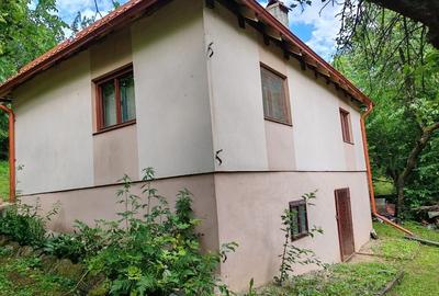 Casă cu 2 camere în Almașu Mare