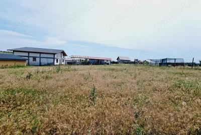 Teren de 820 mp, în Costi