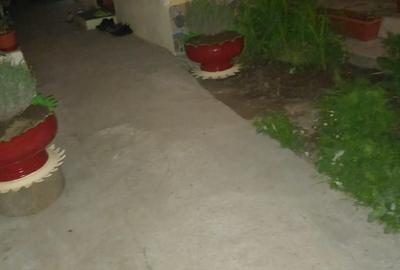 Casă cu 4 camere în Murighiol - 4