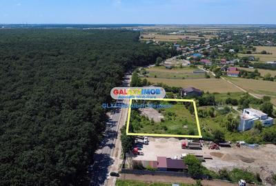 Teren Construcții intravilan de 5000 mp, în Snagov - 11