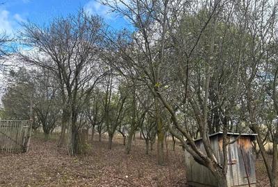 Casă cu 4 camere în Stupini - 5