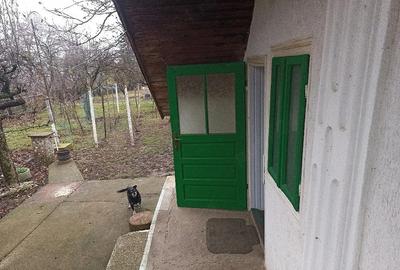 Casă cu 3 camere cu Teren 1800 Mp în Itești - 7