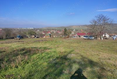 Teren de 2000 mp, în Topolog - 2