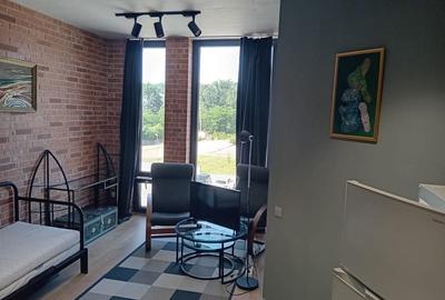 Apartament în Mogoșoaia - 1