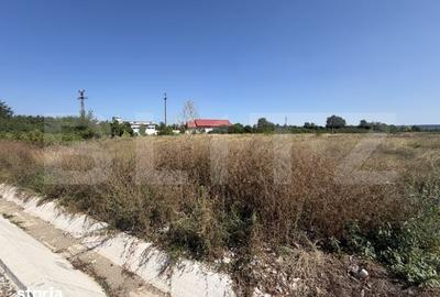 Teren de 15000 mp, în Dănești