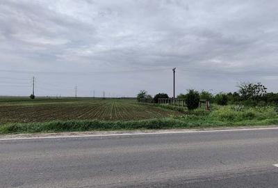 Teren de 7500 mp, în Centură - 3