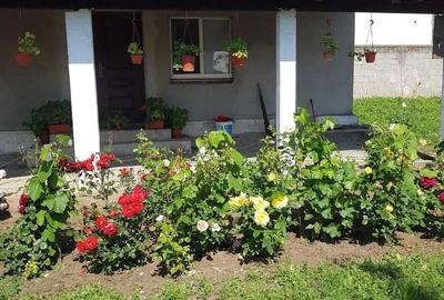 Casă cu 2 camere în Drăgotești - 3