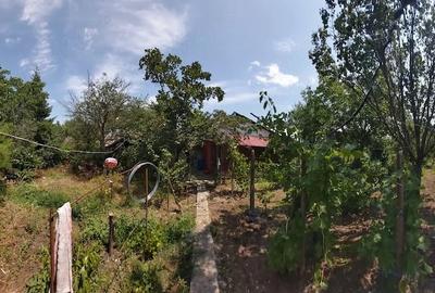 Casă cu 5 camere cu Teren 2000 Mp în Rogojeni