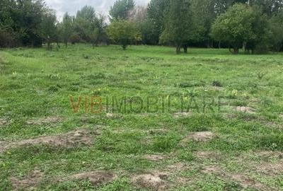 Teren de 8100 mp, în Mărtinești - 1