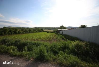 Teren de 834 mp, în Sărata - 6