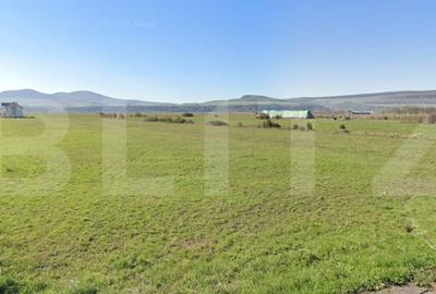 Teren de 12000 mp, în Șieu - 2