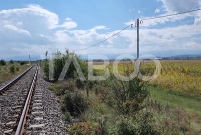 Teren agricol extravilan de 28000 mp, în Șura Mică - 7