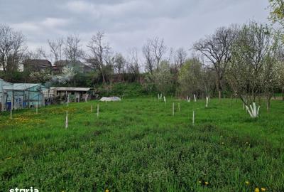 Teren de 1809 mp, în Moțăieni