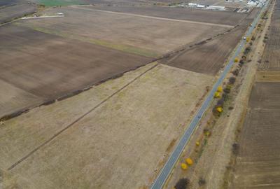 Teren agricol extravilan de 22500 mp, în Est - 10