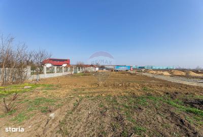 Teren de 304 mp, în Micălaca - 3