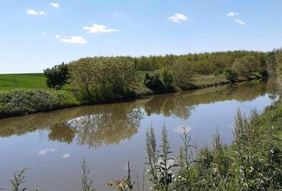 Teren de 2621 mp, în Petrăchioaia - 3