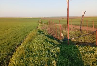 Teren agricol extravilan de 10000 mp, în Zărnești - 4