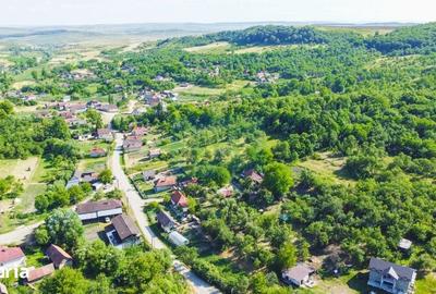 Casă cu 3 camere cu Teren 3245 Mp în Vultureni - 8