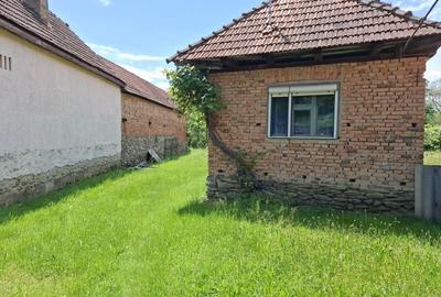 Casă cu 2 camere în Arpașu de Sus