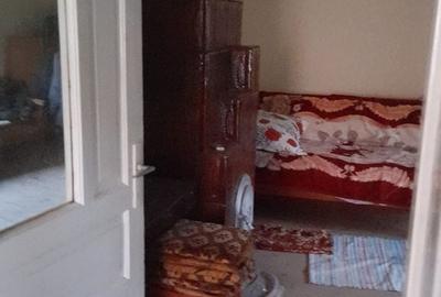 Casă cu 2 camere cu Teren 1567 Mp în Băița - 15